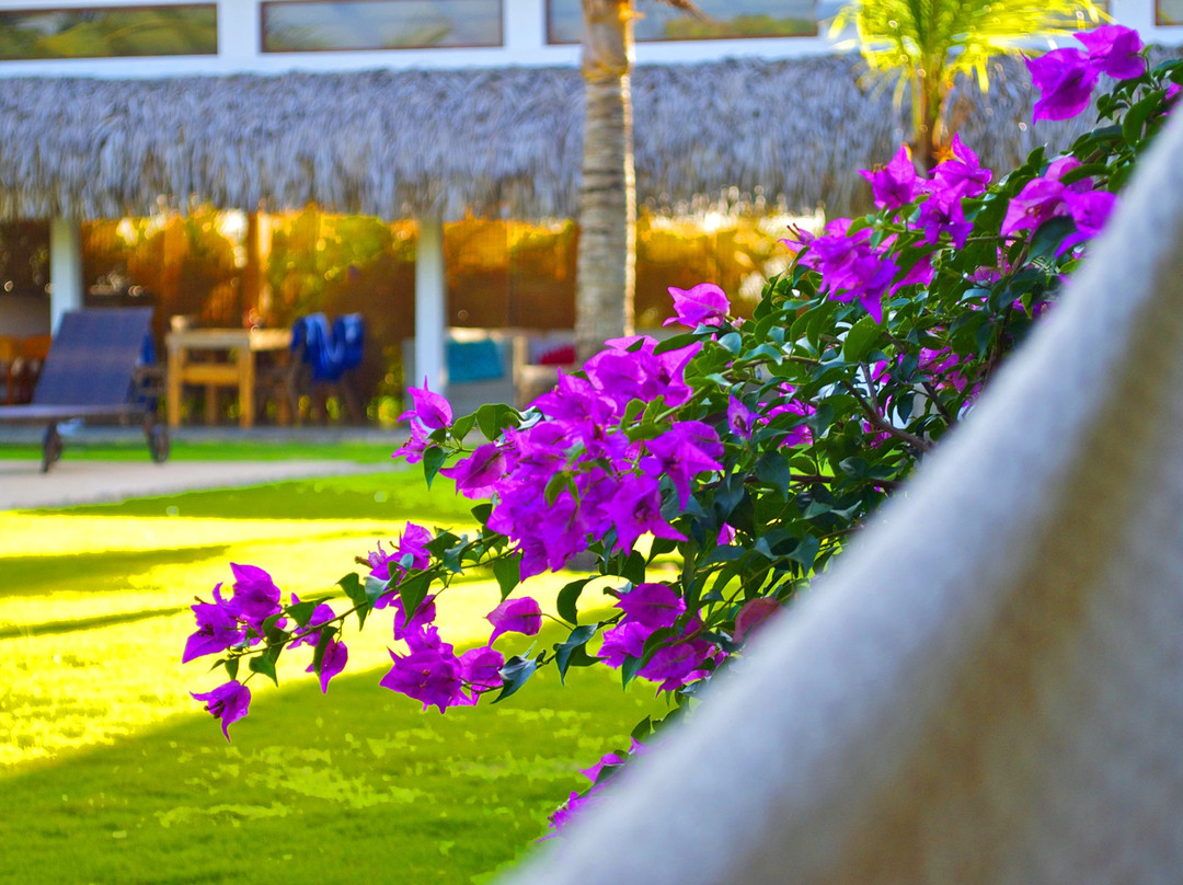 Arganama Guesthouse主图