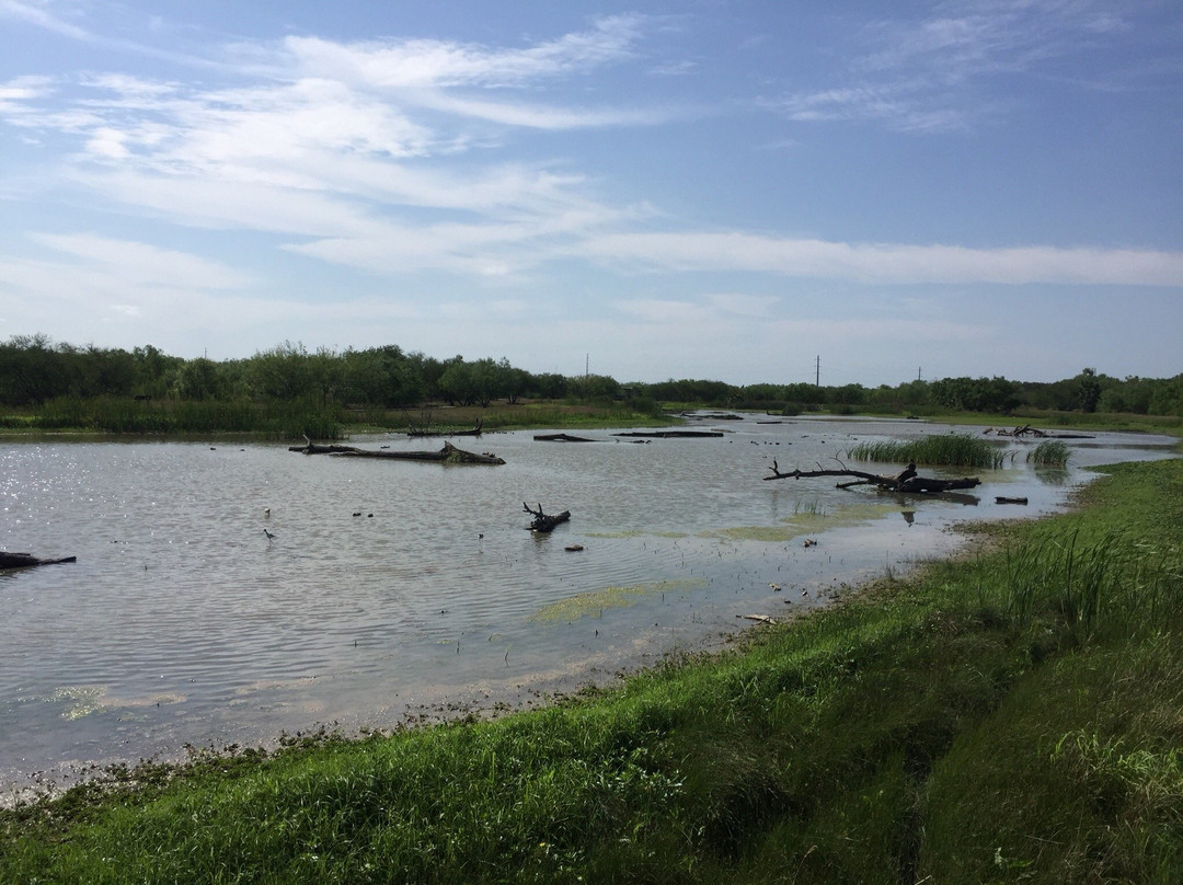 Estero Llano Grande State Park-Weslaco必去景点