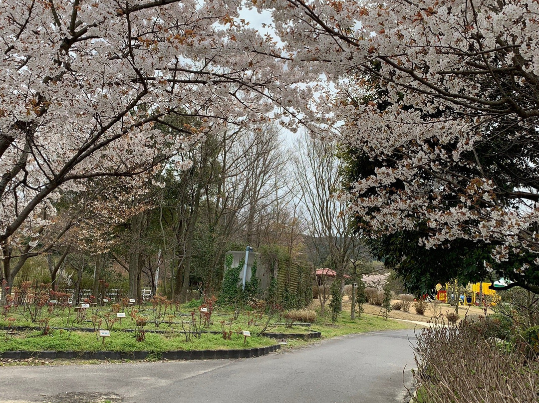 Shimane Flower Village-出云市必去景点