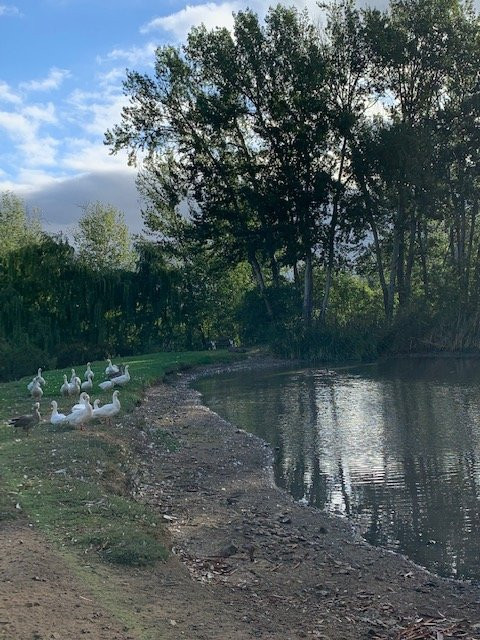 Keurfontein Country House主图