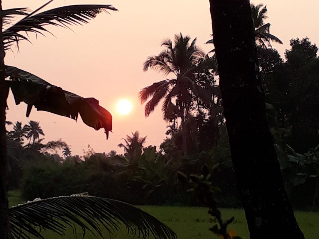 Athreya Ayurvedic Centre主图