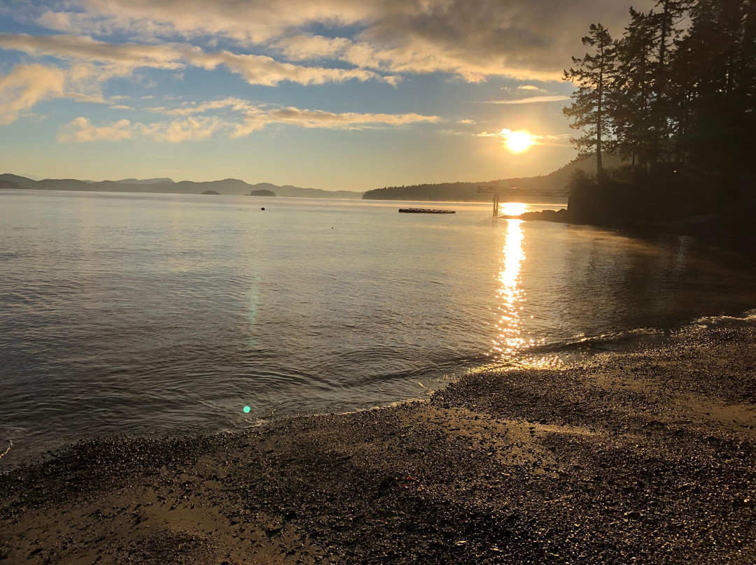 Salt Spring Island Paddle Board Company景点图片