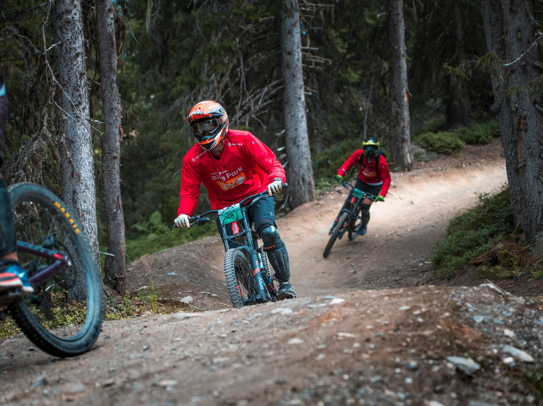 Hafjell Bike Park景点图片