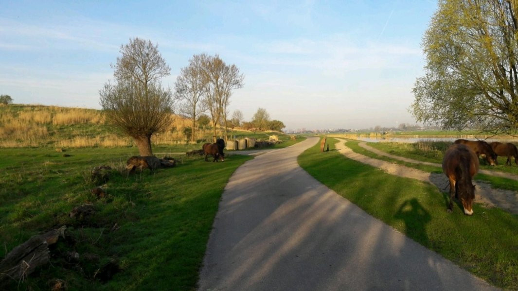 Buytenpark-Zoetermeer必去景点