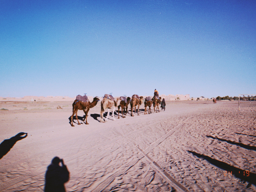 Auberge  Sahara主图