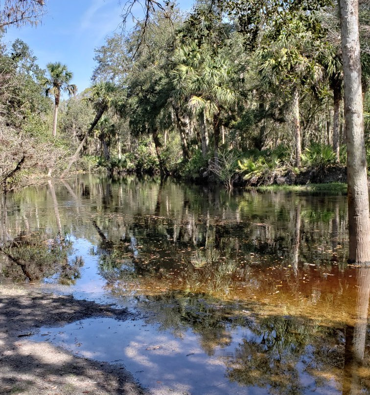 Econ River Wilderness Area-Oviedo必去景点
