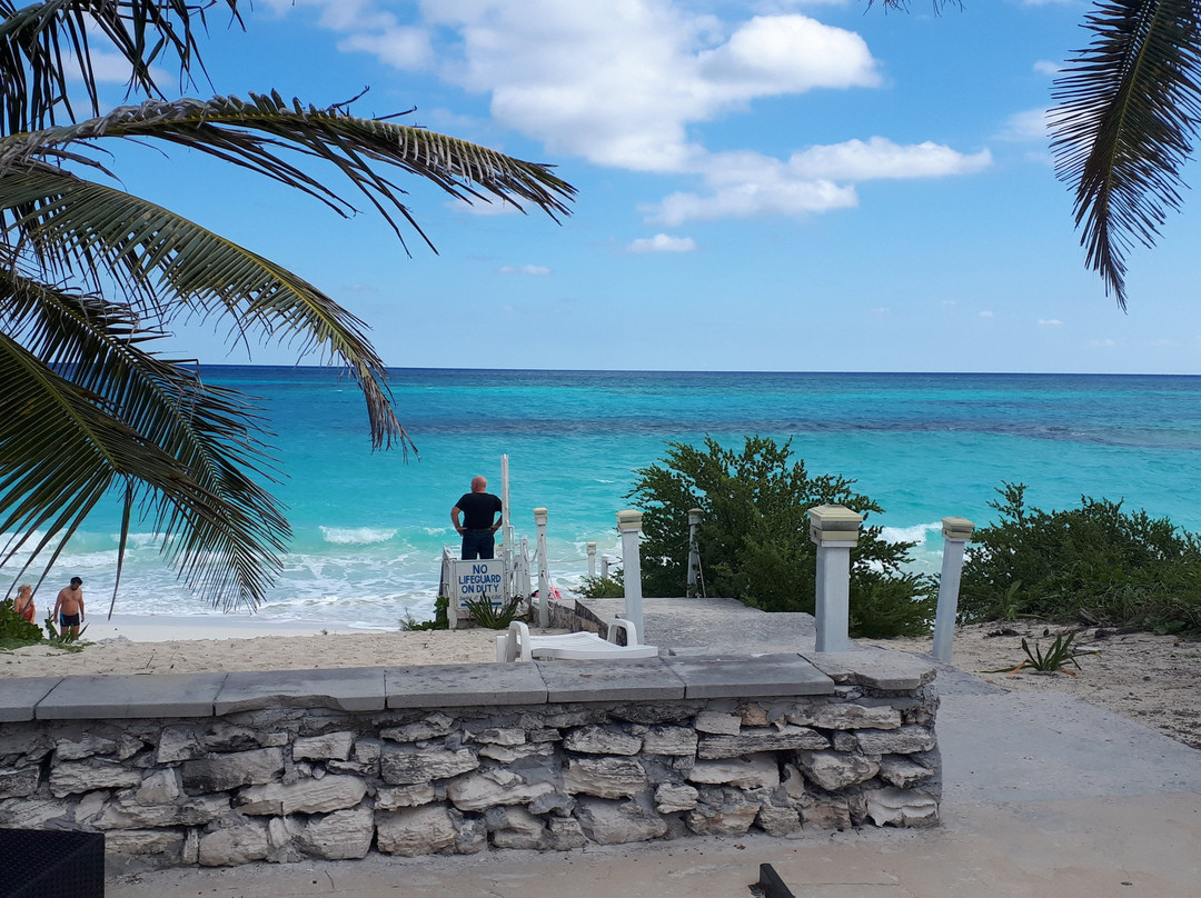 埃克苏马棕榈树酒店主图