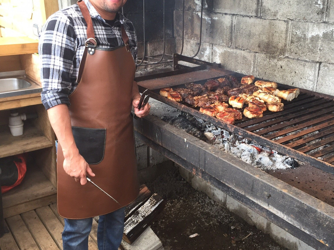 Pilolcura Lodge主图