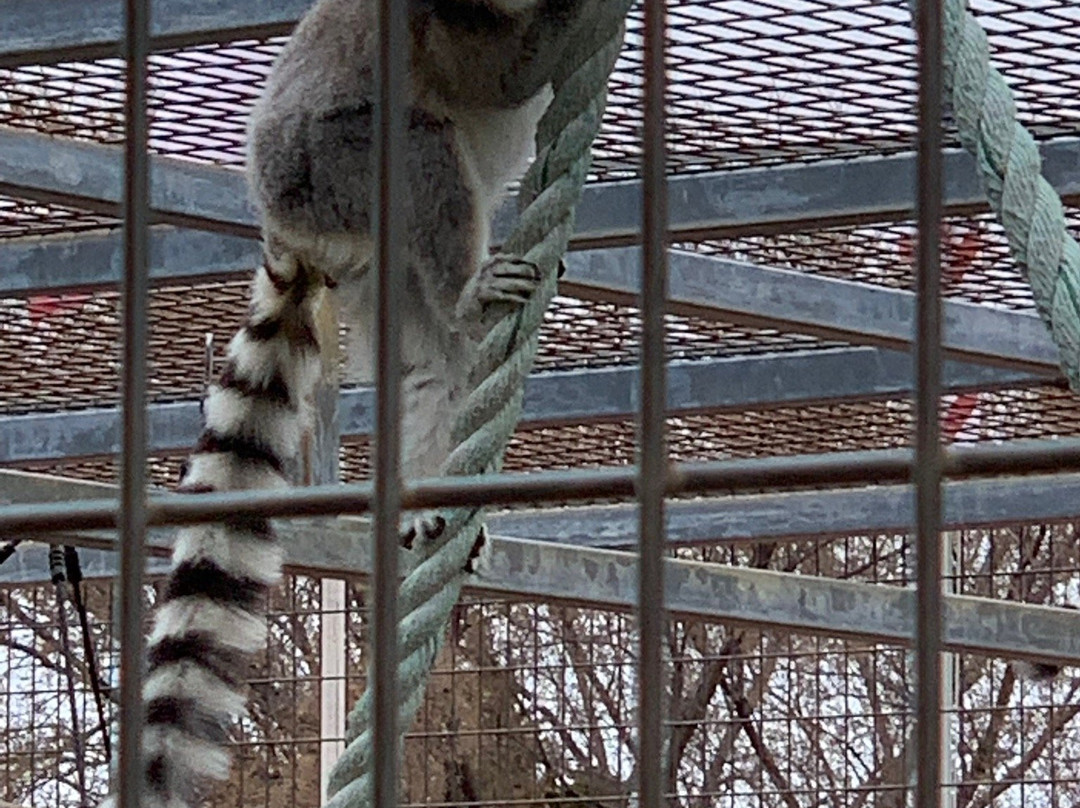 Sharkarosa Wildlife Ranch-Pilot Point必去景点