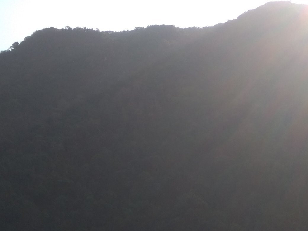 Dayang Bunting Marble Geoforest Park-Pulau Dayang必去景点