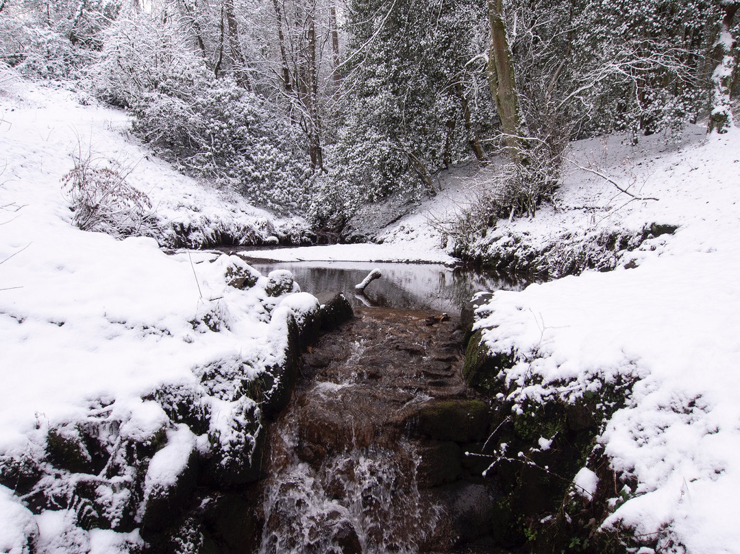 Bold Venture Park-Darwen必去景点