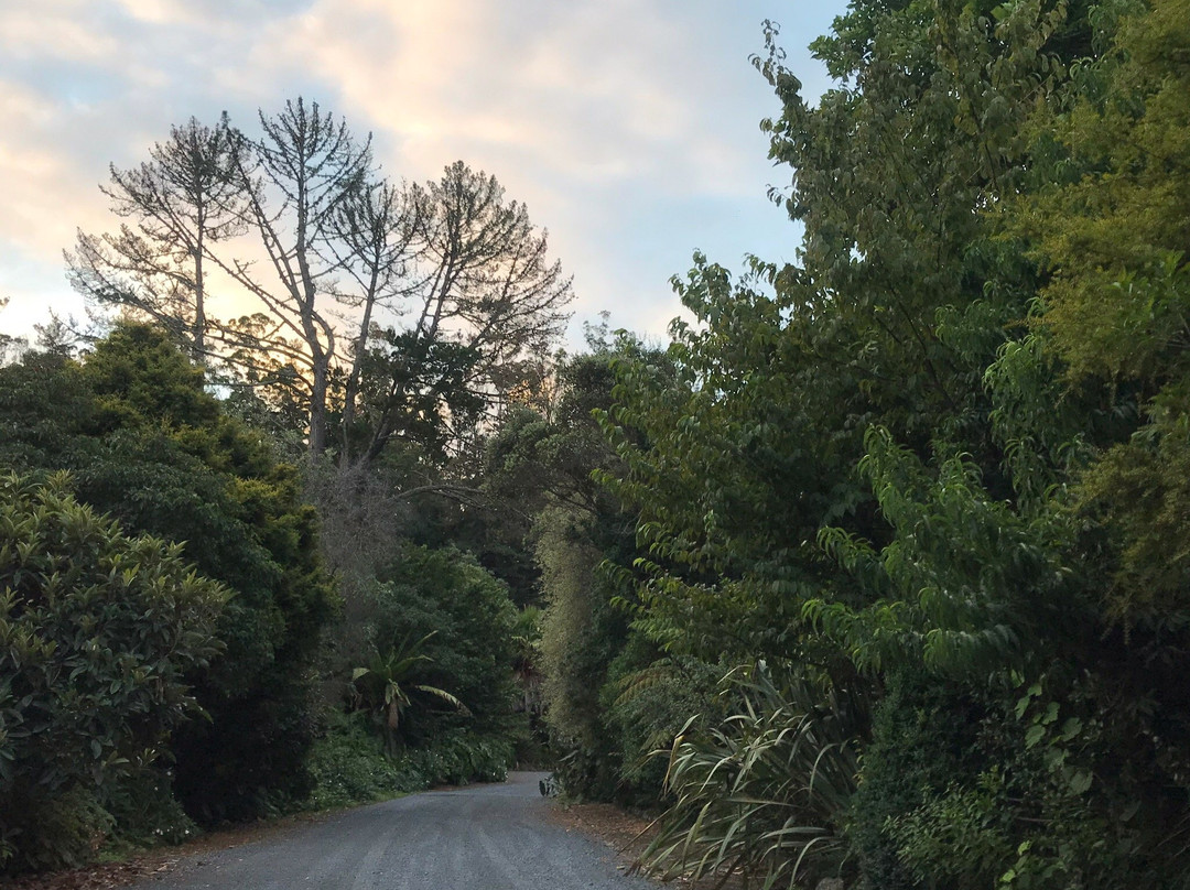 Woodlands Motel & Conference Venue主图