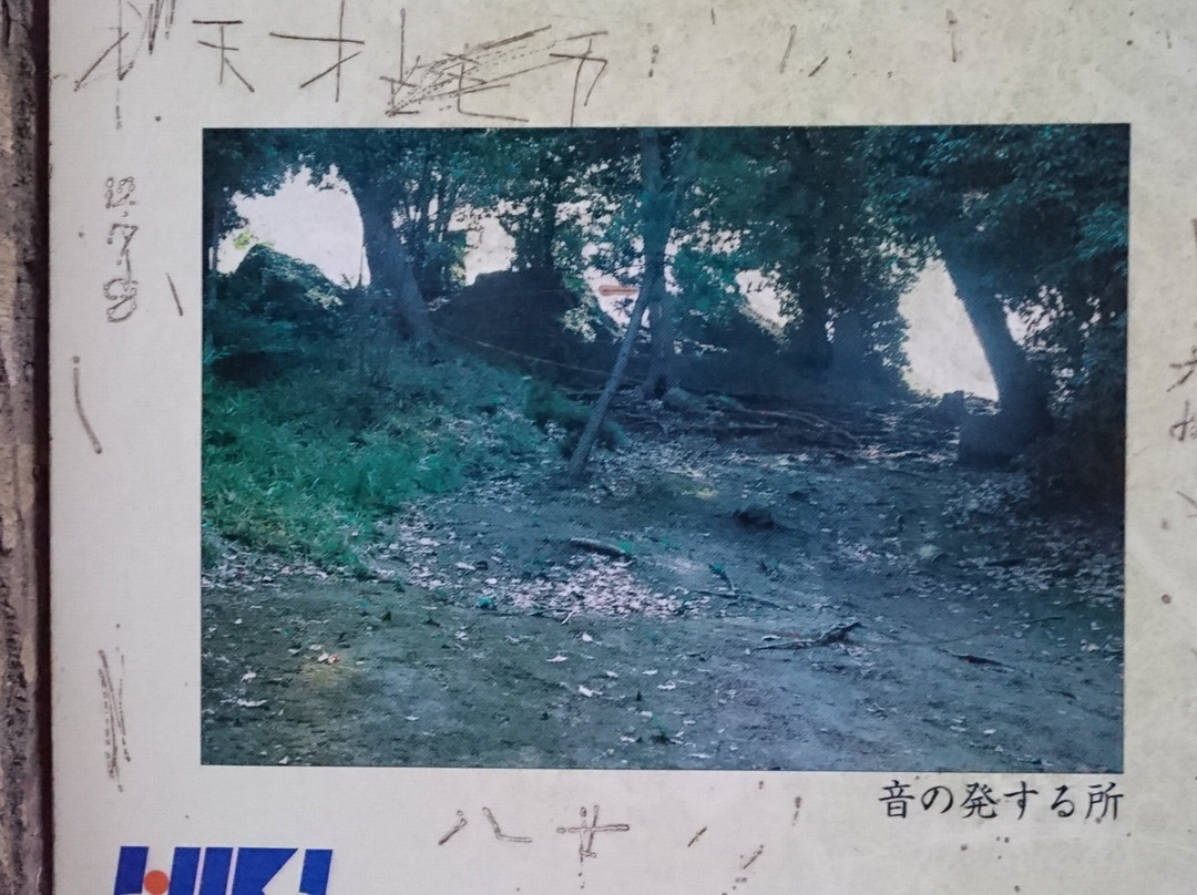 Mt. Ponpon-吉见町必去景点