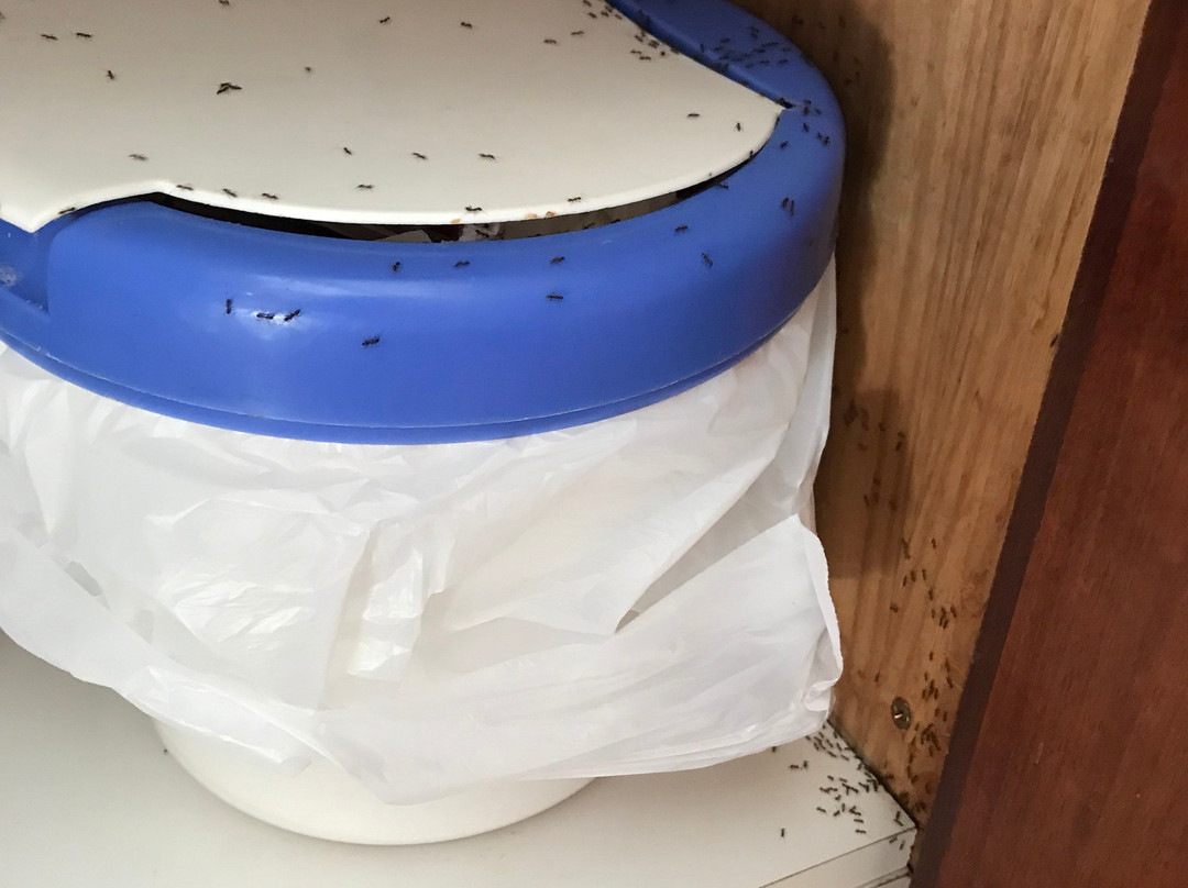 基尔马诺克之屋爱德华住宿酒店主图