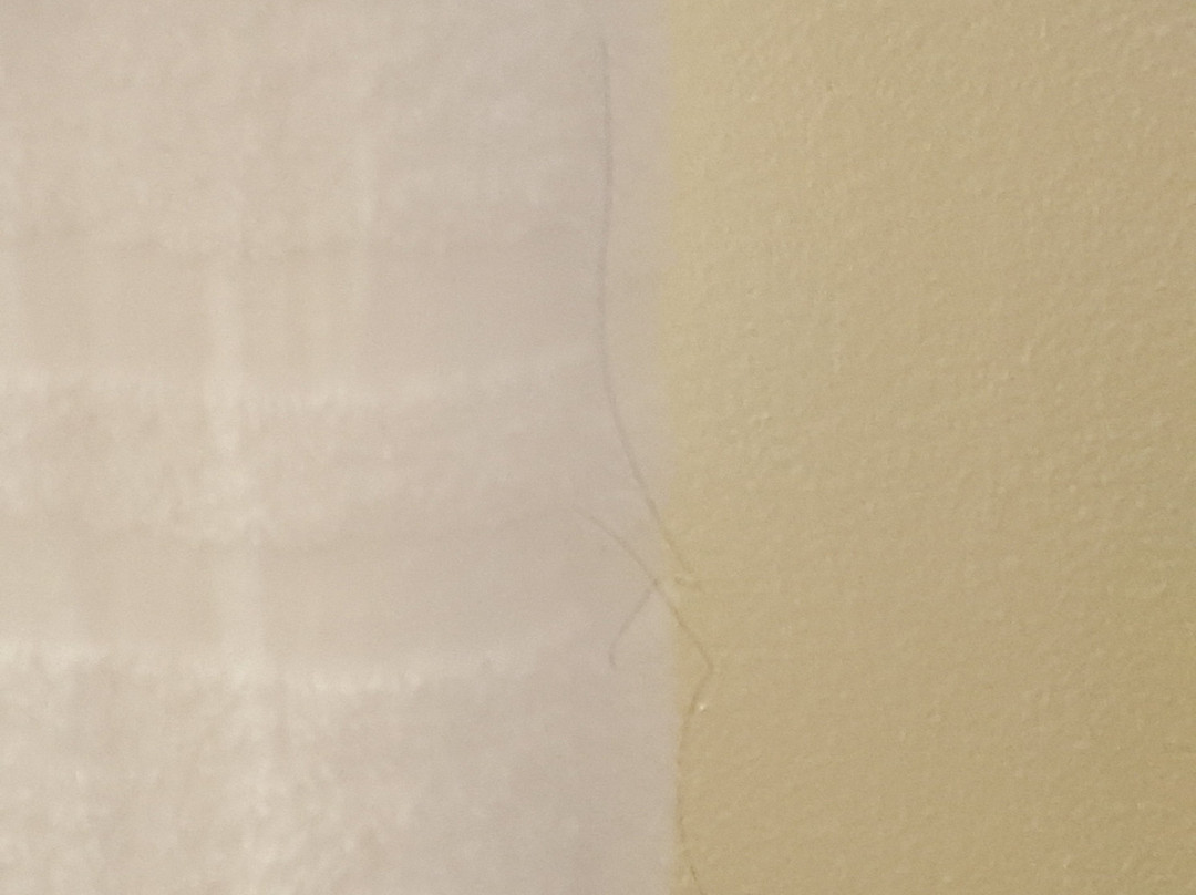 尤金大学旅馆&套房酒店主图