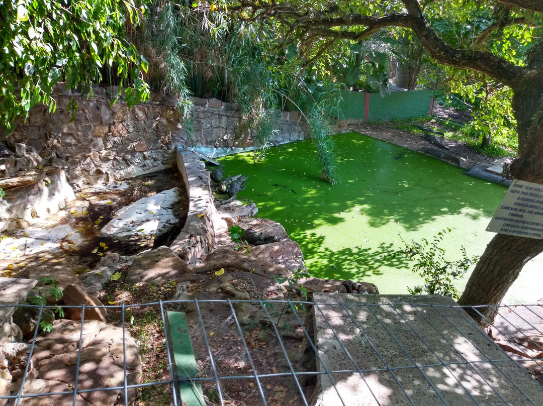 Zoo de la Ciudad de Salto景点图片