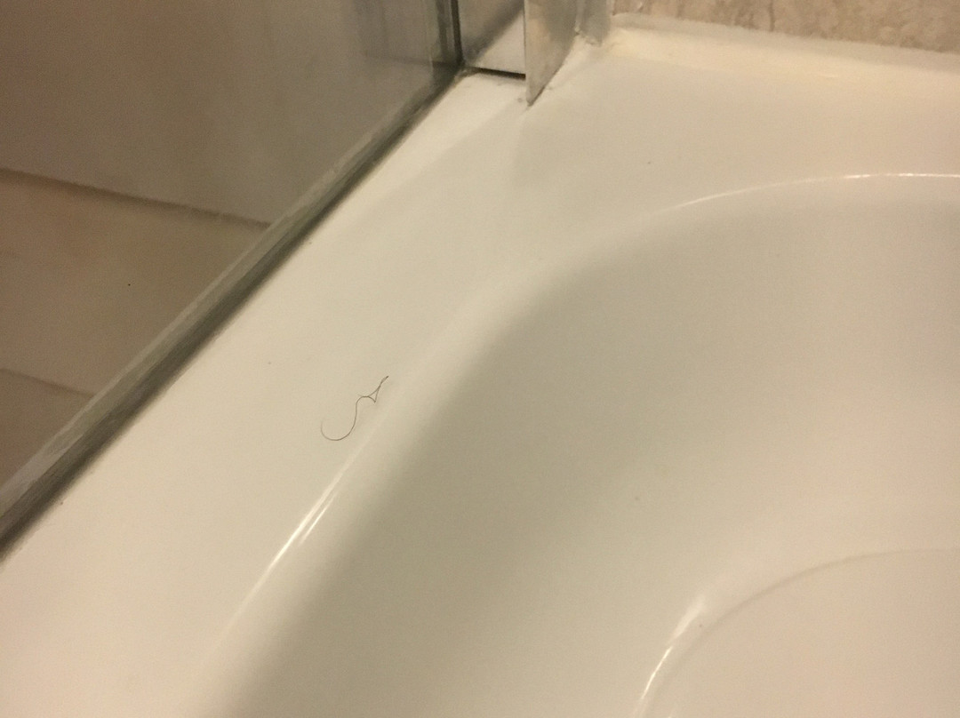 Pen-y Bryn Guest House主图