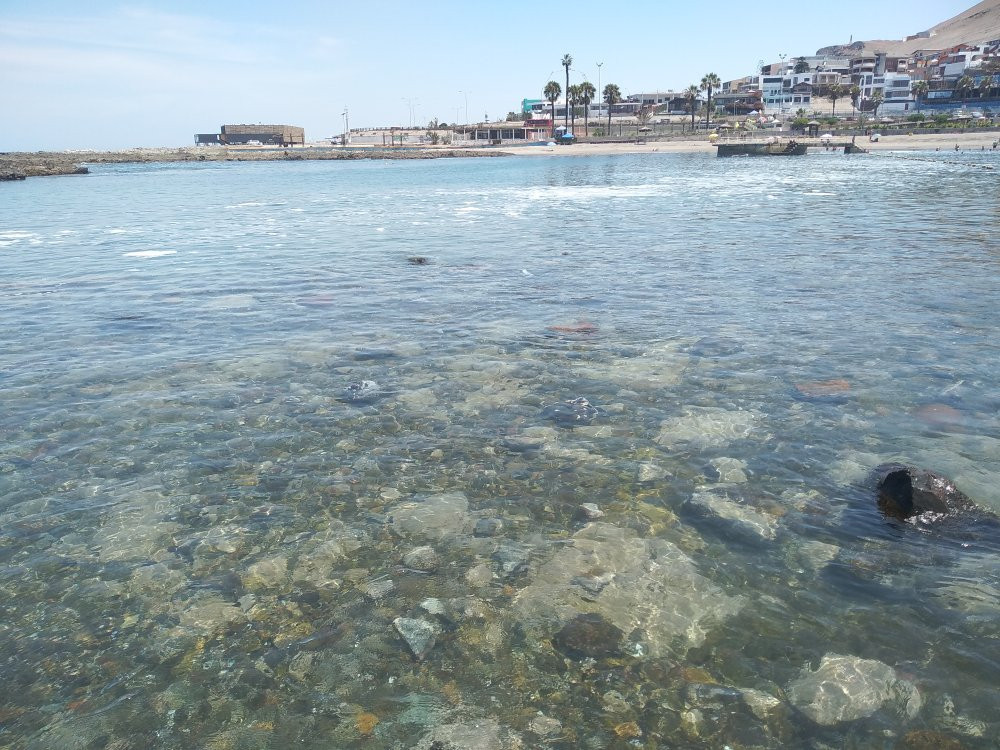 Playa La Lisera-阿里卡必去景点