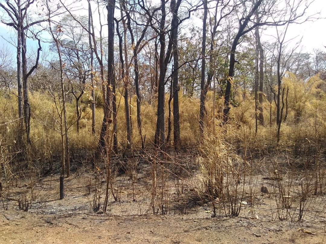 Yokdon National Park-Cu Jut District必去景点