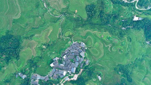 龙胜金坑大寨国际青年旅舍-官方