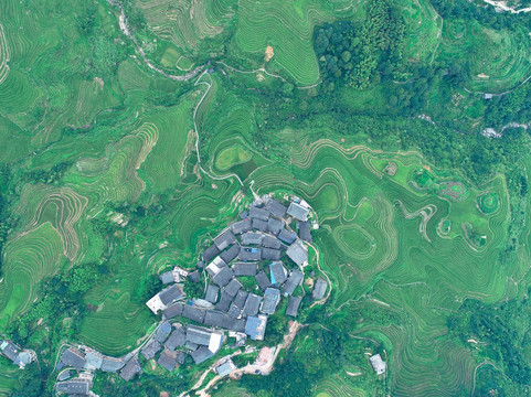 龙胜金坑大寨国际青年旅舍主图