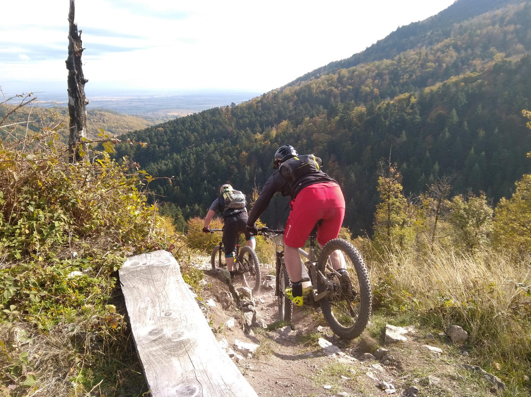 Alsace Freeride Academy景点图片