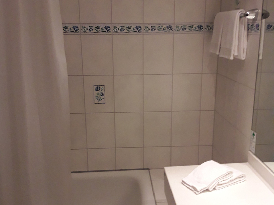 Hotel Hamburg-Wittenburg主图