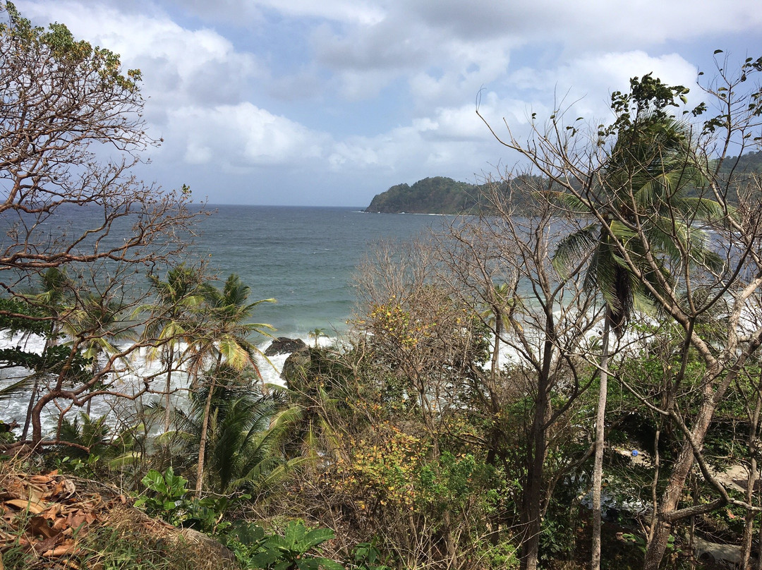 Hotel Los Robles主图