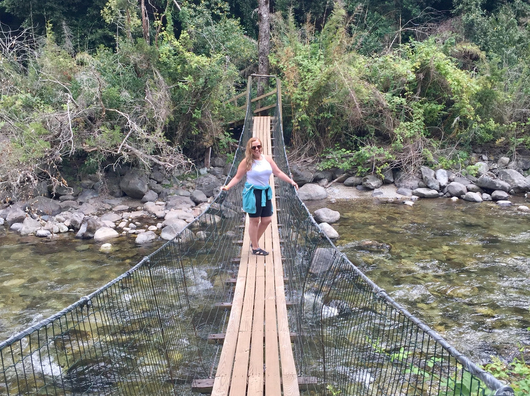 Hotel & Termas Huife主图