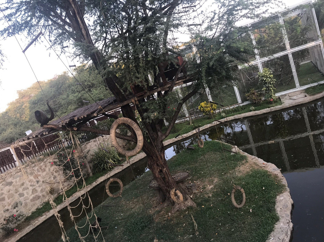 Tucume餐馆和美食-Las Pirkas