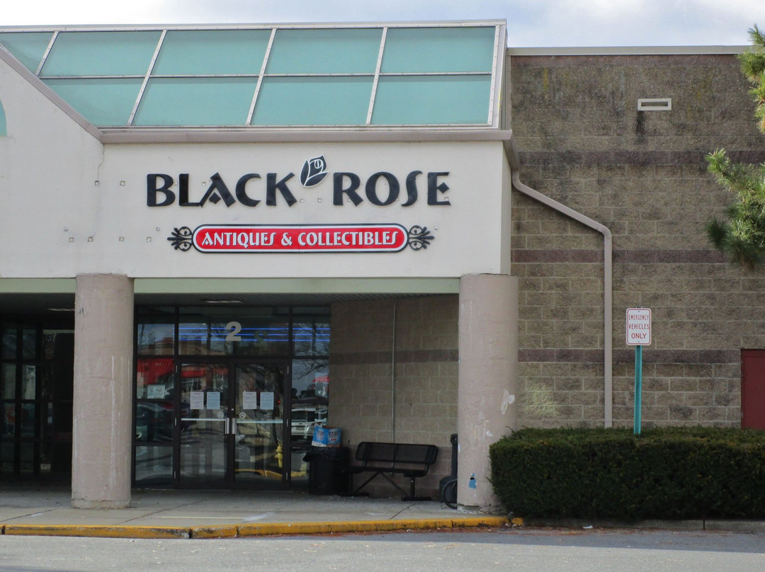 Black Rose Antique Mall景点图片