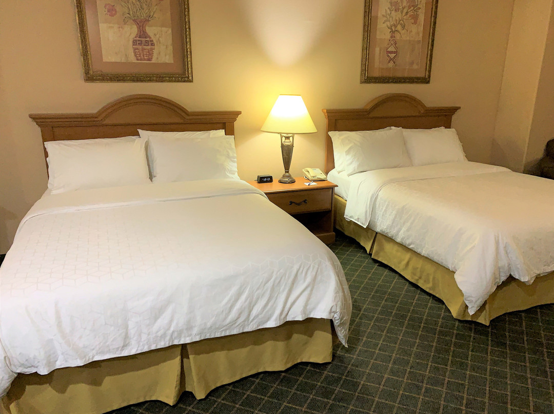 Holiday Inn Express & Suites Alice by IHG主图