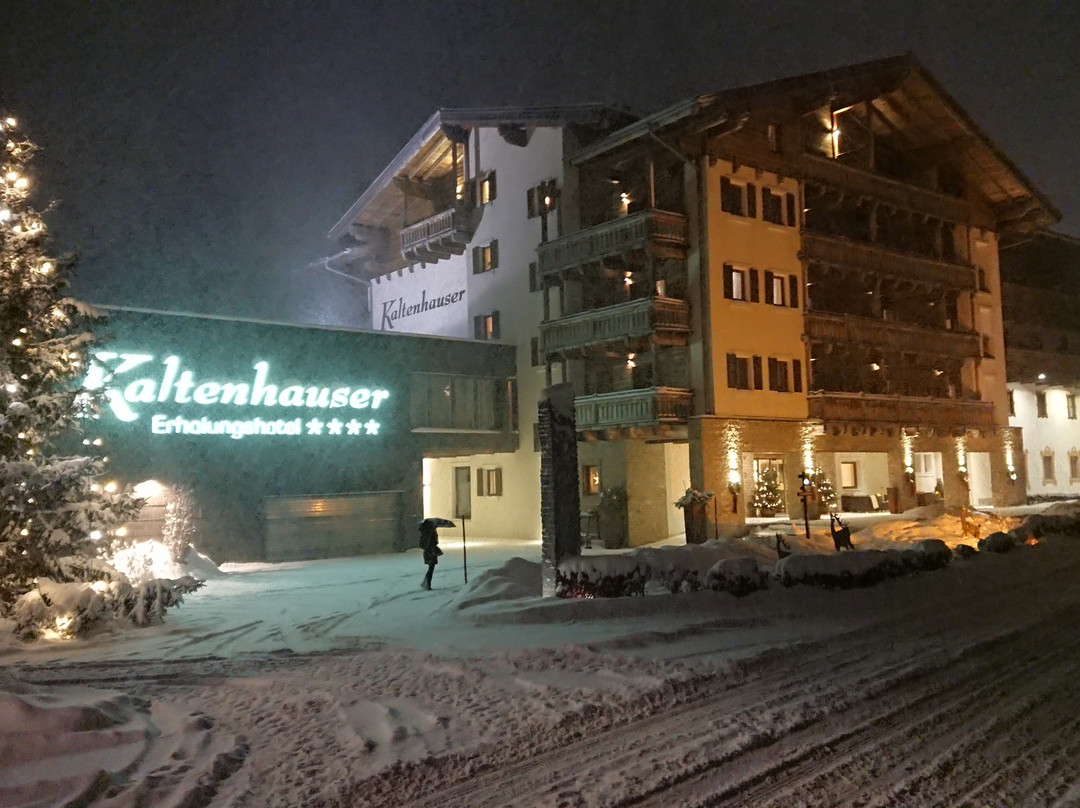 Dorfhotel Kaltenhauser主图