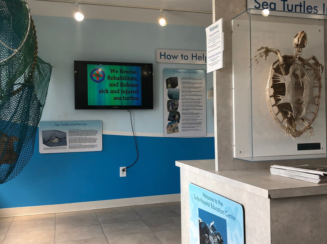 The Turtle Hospital-马拉松必去景点