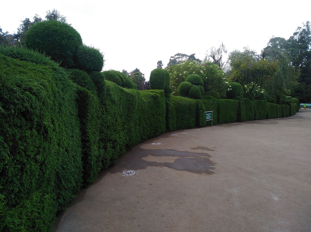 Club Mahindra Derby Green, Ooty主图