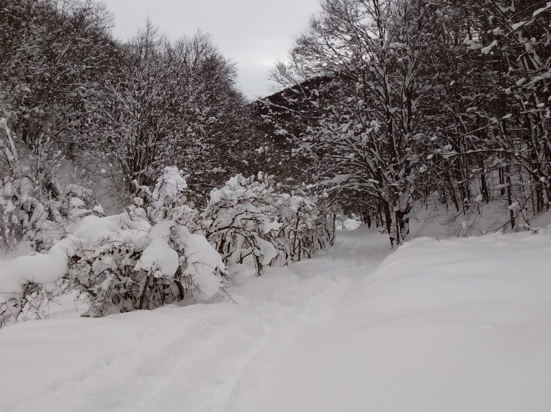 Altopiano delle Cinquemiglia-Rocca Pia必去景点