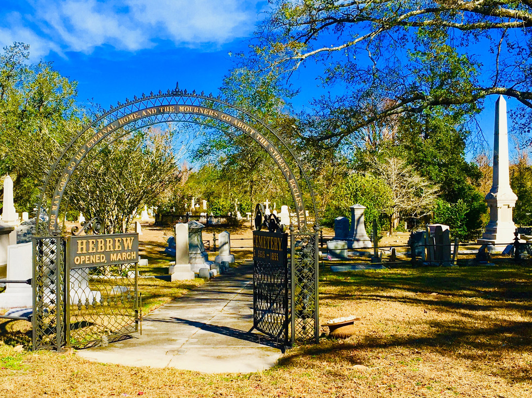 Wilmington Oakdale Cemetery景点图片