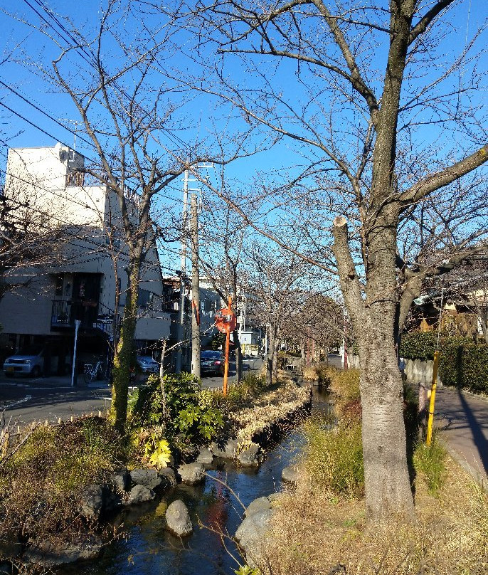 Ichinoe Sakaigawa Shinsui Park景点图片
