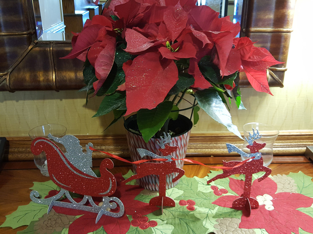 Hampton Inn & Suites Chesapeake Square Mall主图