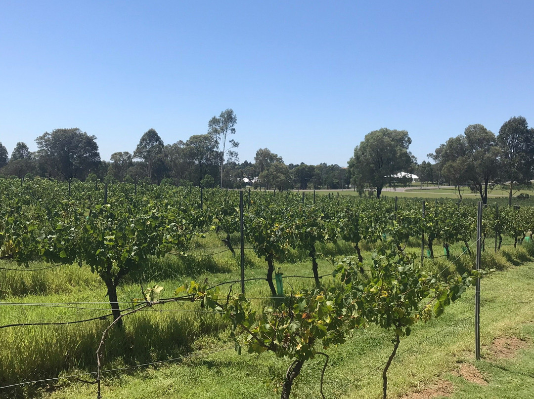 Blueberry Hill Vineyard Stay主图