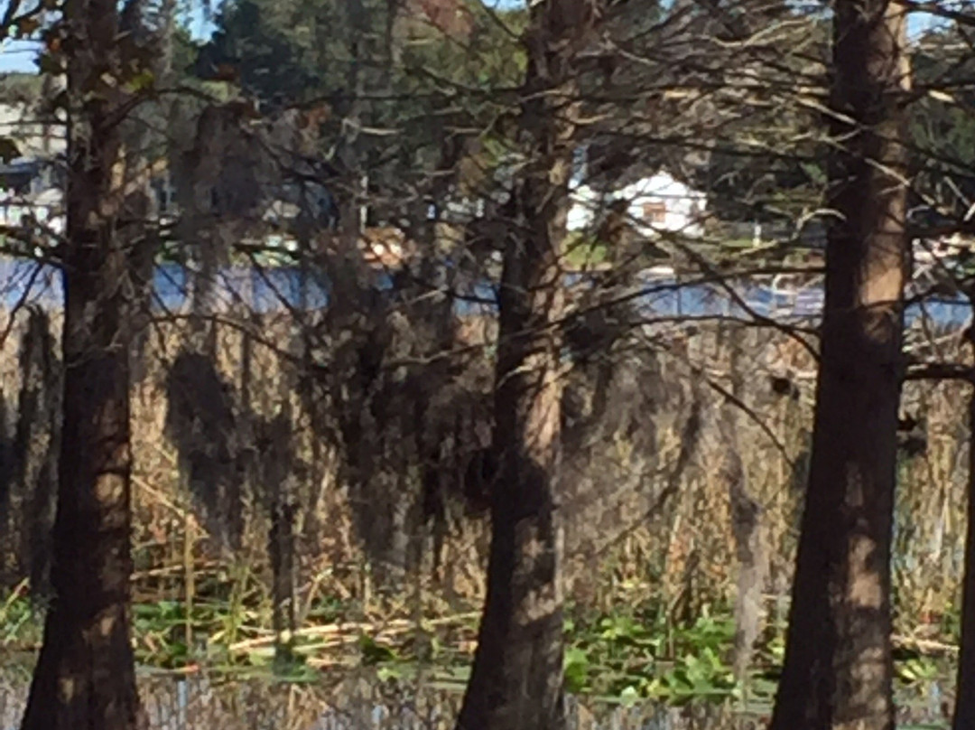 Secret Lake Park-卡塞尔伯里必去景点