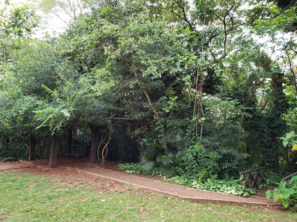 Itanhanga Park景点图片