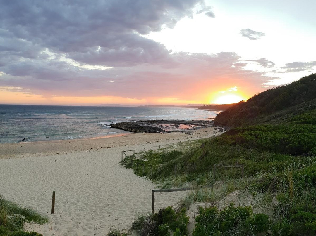 Sandpiper Motel主图