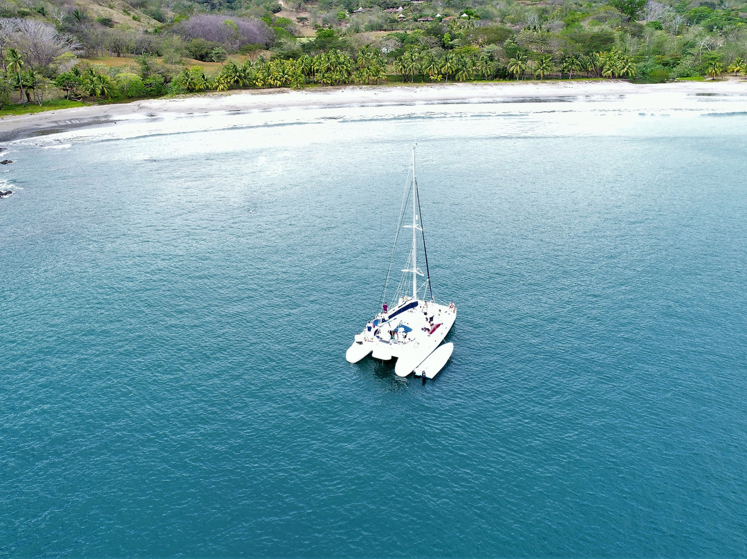 Hotel Palma De Oro主图