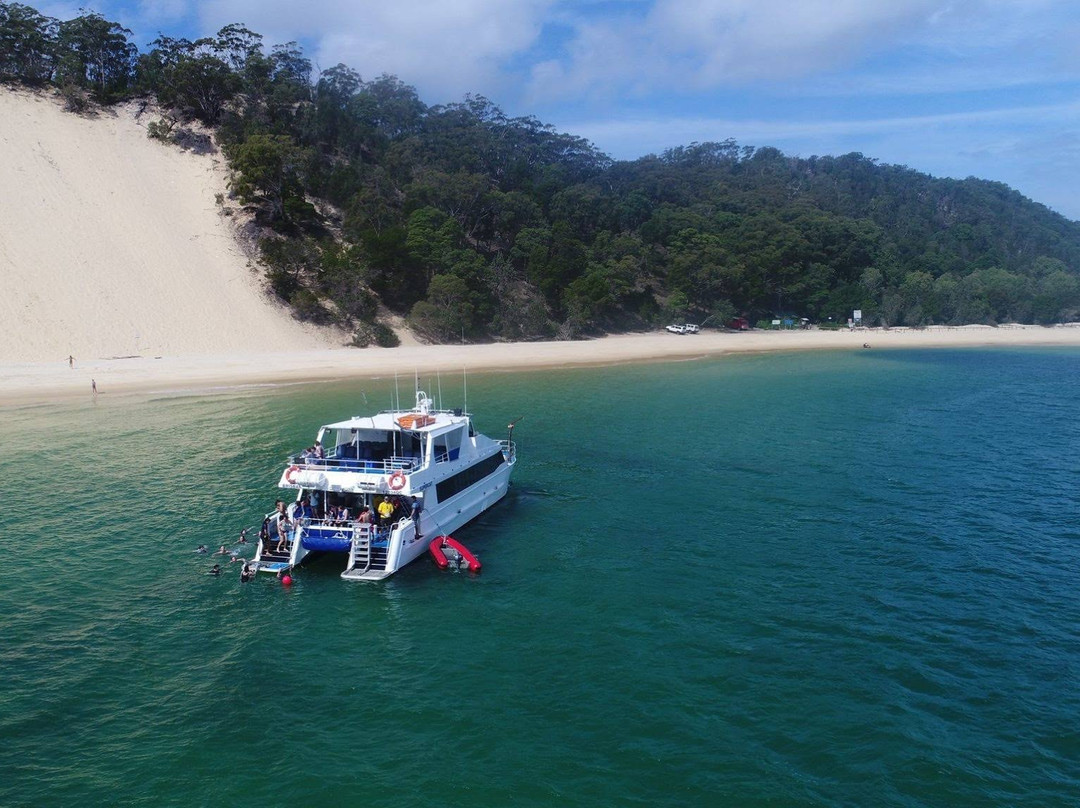 Dolphin Wild Island Cruises景点图片
