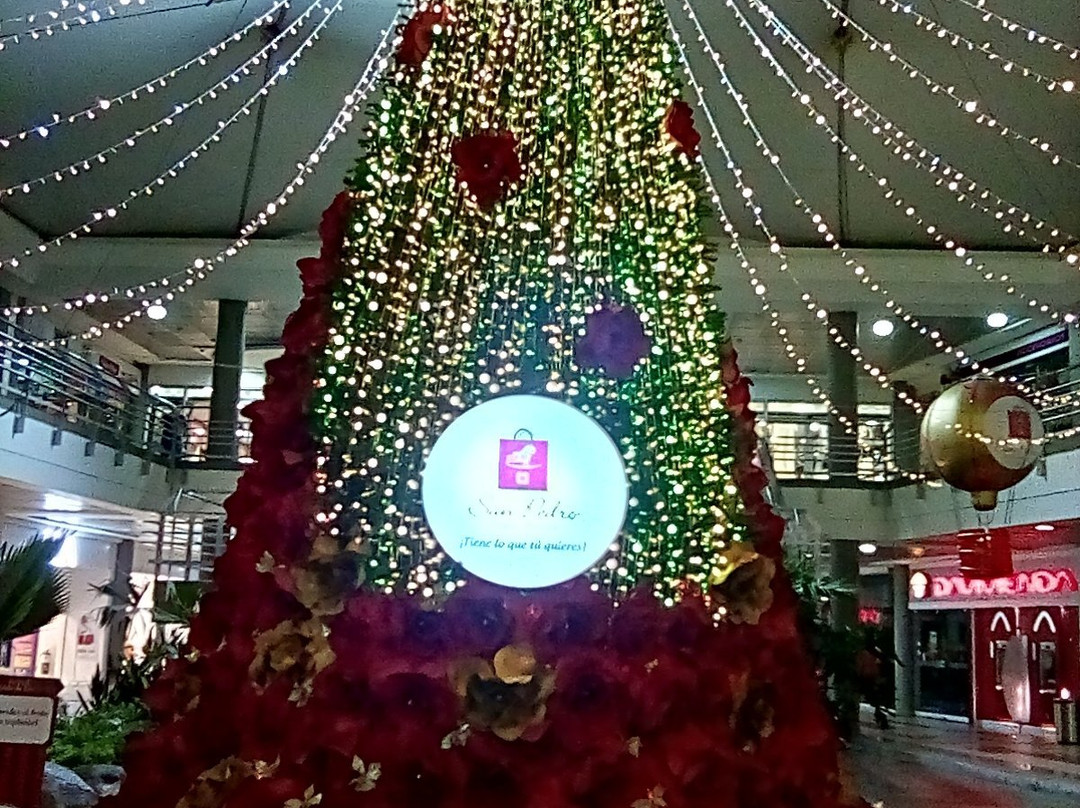 Centro Comercial Santa Lucia Plaza-内瓦必去景点