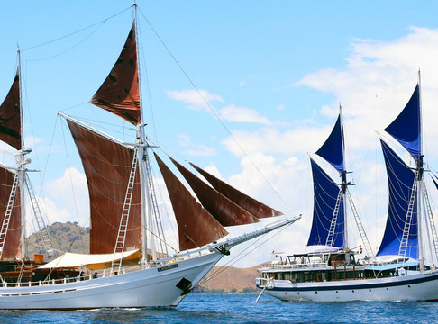 SeaTrek Sailing Adventures