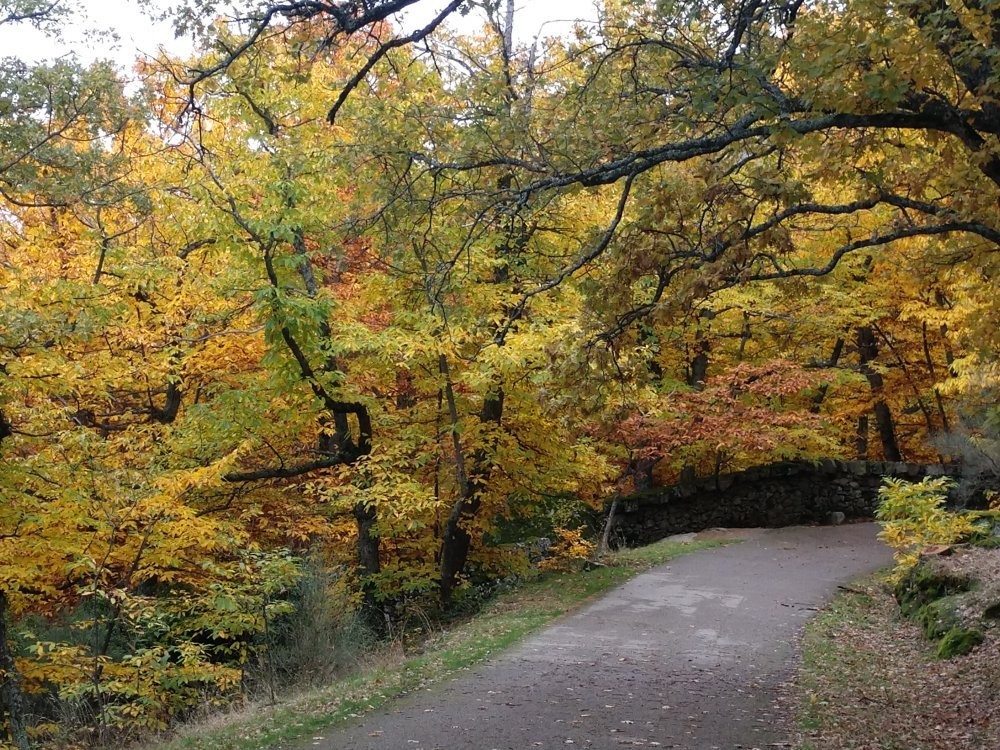 Bosque de la Herreria景点图片