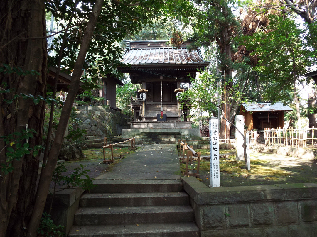 Atago Shrine-小田原市必去景点