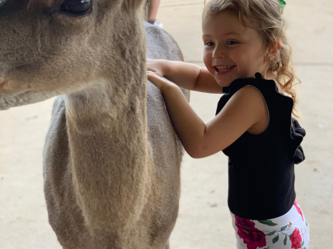 Bayou Wildlife Zoo-Alvin必去景点